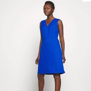 Lauren Ralph Lauren Sapphire Ponte Dress 12